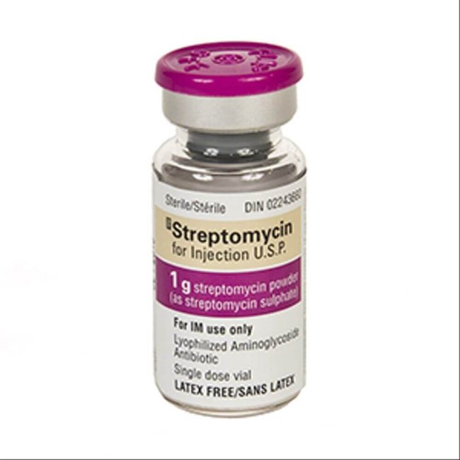 STREPTOMİSIN kukuni 1 g N50