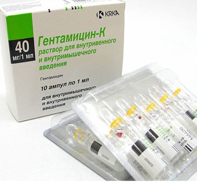 GENTAMICIN K in&#39;ektsiya uchun eritma 40 mg/ml N10