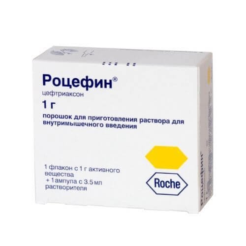 ROCEPHIN kukuni 250 mg