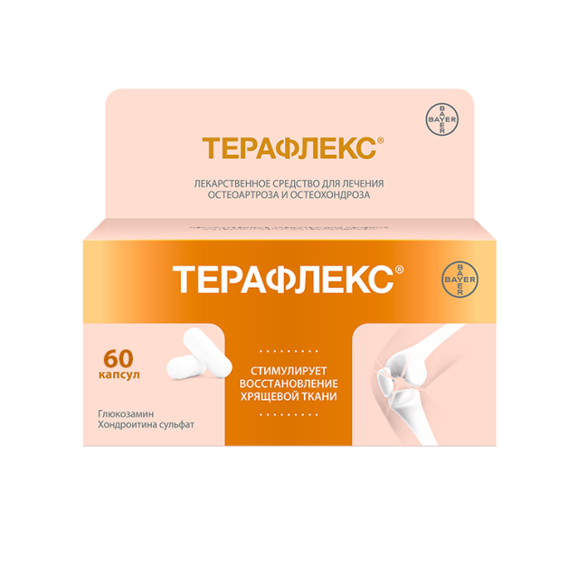 ТЕРАФЛЕКС капсулы N60