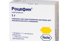 ROCEPHIN kukuni 250 mg rasm